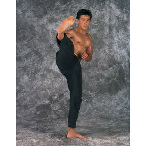  Studio Dynamics Designer Series 10x30' Muslin Background, Centurion. 