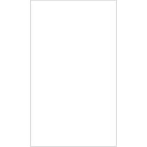  Botero Backgrounds 000 10x12' Muslin Background, White 