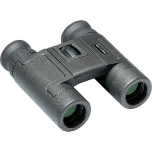  Brunton 10x25  Water Proof Roof Prism Dual-Hinge Binocular with 8.1 Degree Angle of View 