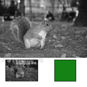 B + W 72 Yell/green Mult/ctd 060: Picture 1 regular