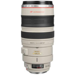 Canon 100-400mm: Picture 1 regular