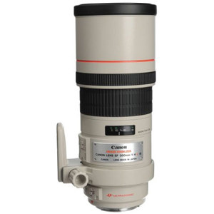 Canon 300mm F/4L: Picture 1 regular
