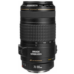 Canon 70-300mm f/4-5.6 IS: Picture 1 regular