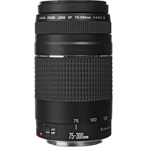 Canon EF 75-300mm f/4.0-5.6 III Lens, Gray Market: Picture 1 regular