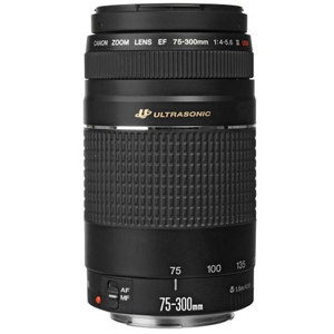  Canon EF 75-300mm F/4-5.6 III USM Autofocus Telephoto Zoom Lens - USA Warranty 