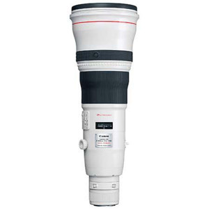 Canon 800mm F/5.6L: Picture 1 regular