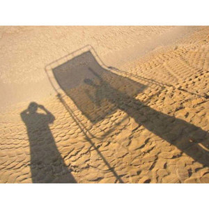  Sunbounce SunSwatter Seamless Pro Textile, 4x6' Translucent with 1 Stop Light Reduction. 