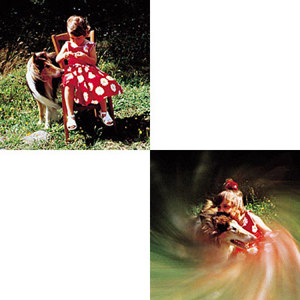  Cokin Sunspot Filter Series A 