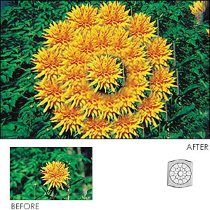  Cokin Multi-Image Filter 25 Series A 