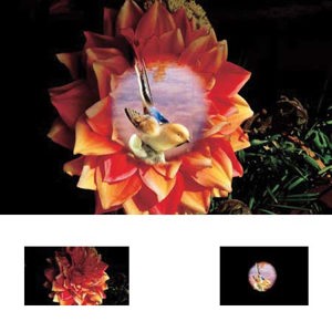  Cokin Double Mask 1 Filter Series A 