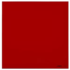  Cokin Series P Red Filter 