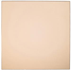  Cokin Series P Champagne Filter 