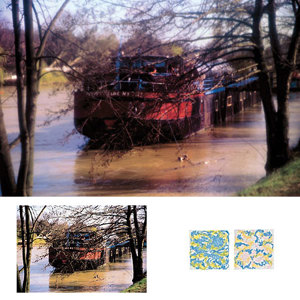  Cokin Color Diffuser Filter Sheets, Series P (requires the P194 Gel Holder) 