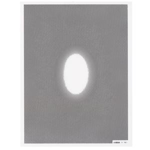  Cokin Diffuser with Clear Center Oval Filter X-Pro Series 