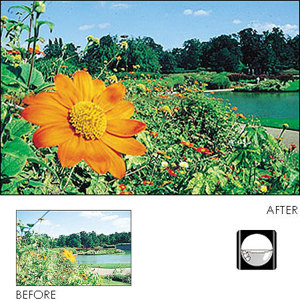 Cokin Series P Split Field Filter +3: Picture 1 regular