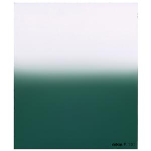  Cokin Series P Emerald Graduated Filter E2 