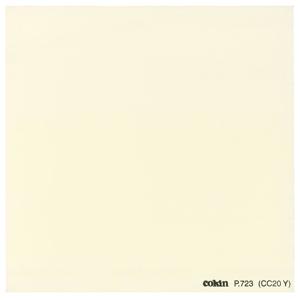 Cokin Series P Yellow Color Correction Filter CC20Y P723