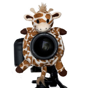 Shutter Hugger Giraffe: Picture 1 regular