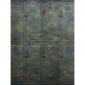  Denny Manufacturing 10x10' Gym Lockers Freedom Cloth Backdrop 