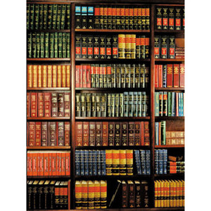  Denny Manufacturing 5x7' Classic Bookcase Freedom Cloth Backdrop 