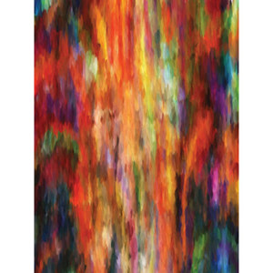  Denny Manufacturing 8x8' Unhinged Freedom Cloth Backdrop 