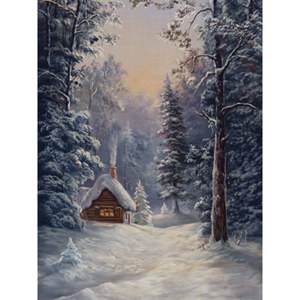  Denny Manufacturing 10x20' Holiday Cottage Freedom Cloth Backdrop 