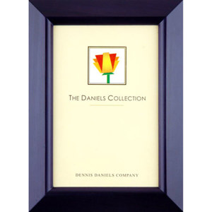 Dennis Daniels Beveled Gallery Wood Molding Frame W4304B