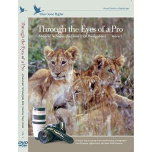 Blue Crane DVD: Techniques for Nikon, Volume 2: Picture 1 regular