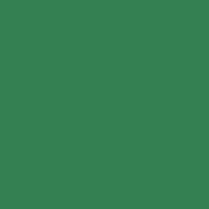  Foba TT-Plast Plastic Background Sheet, 51.2x39.4" (130x100cm), 10 Sheets, Green 