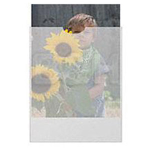 Duracraft GVG68 Glassine Envelopes, Holds 8x10 Strip of 1 Open End, Pack of 500: Picture 1 regular