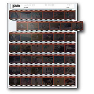 Print File Archival 35mm Size Negative Pages Holds Seven Strips 0100070