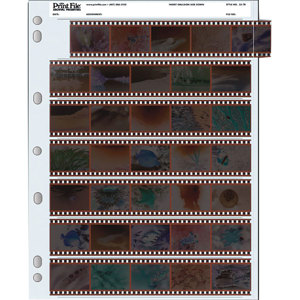 Print File Archival 35mm Size Negative Pages Holds Seven Strips 0100090