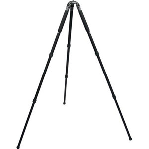 Gitzo GT3330L: Picture 1 regular