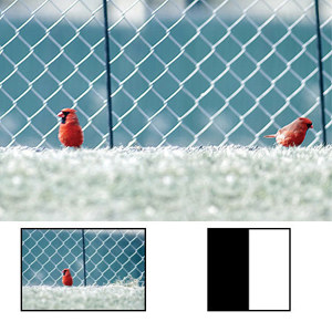  Hoya 49mm Dual Image Glass Filter 