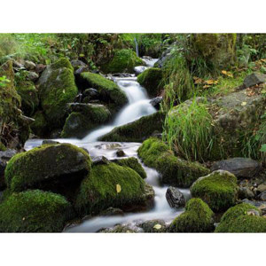  Hoya PRO-ND 55mm 500x Neutral Density Filter, 9 Stops (2.7) 