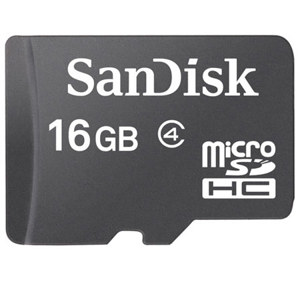 SanDisk SDSDQ016G 16GB microSDHC High Capacity Card: Picture 1 regular