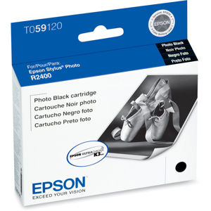  Epson Photo Black Ink Cartridge for the Stylus R2400 Photo Inkjet Printer. 