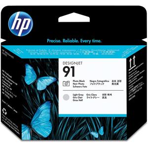  HP 91 Photo Black and Light Gray Printhead 