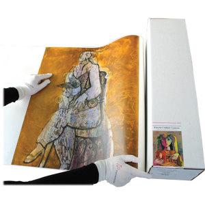  Hahnemuhle Metallic Fine Art Inkjet Canvas, Glossy Silver Surface, 350gsm, 17"x39' Roll, 3" Core 
