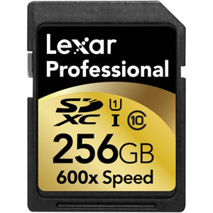 Lexar 256GB Class 10, Professional 600x SDXC UHS-I Memory Card for Cameras: Picture 1 regular