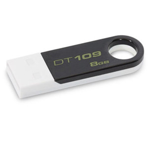 Kingston Technology DataTraveler 109 DT109K/8GBZ Flash Drive, Black and White: Picture 1 regular