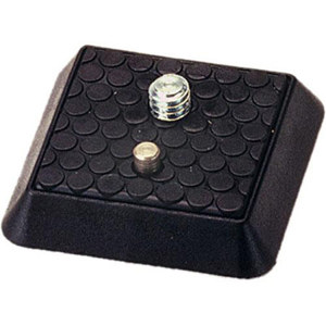 Kaiser 206022 Spare Plate for Quick Release Systems: Picture 1 regular