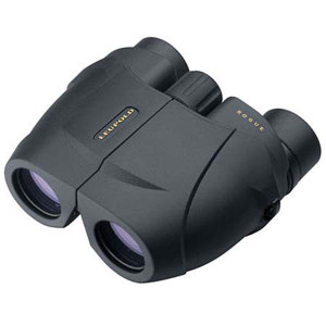  Leupold 10x25 BX-1 Rogue Compact, Water Proof Porro Prism Binocular with 5.6 Degree Angle of View, Black, U.S.A. 