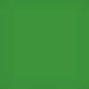  Lee Filters 4x4" Yellow Green #11 Polyester Filter for Black & White Film 