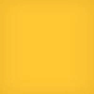  Lee Filters 4x4" Deep Yellow #12 Polyester Filter for Black & White Film 