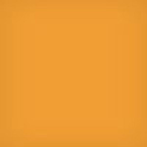 Lee Filters 4x4" Deep Yellow #15 Polyester Filter for Black & White Film 