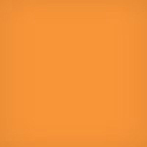  Lee Filters 3x3" Yellow Orange #16 Polyester Filter for Black & White Film 