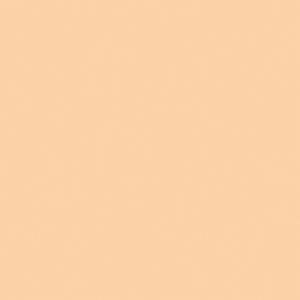 Lee 1/2 Orange (CTO) 205