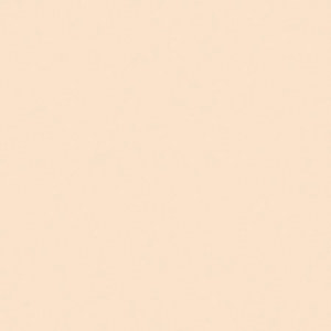 Lee 1/4 Orange (CTO) 206