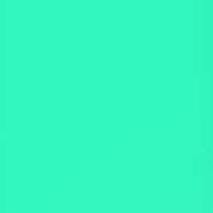  Lee Filters Soft Green 24x21" Gel Filter Sheet 